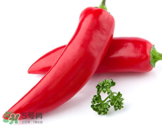 辣椒种植前景如何,辣椒种植效益分析