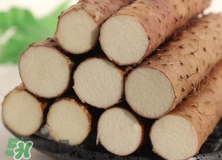 淮山药和铁棍山药的区别图片,淮山药和铁棍山药的区别功效