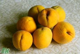 黄桃吃了会发胖吗,吃黄桃会长胖吗