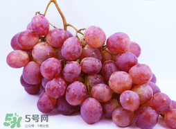 红提营养价值及功效和作用,红提营养价值