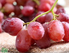 洗提子的正确方法,洗提子的正确洗法