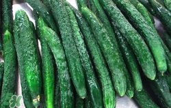 水果黄瓜能炒着吃吗,黄瓜可以炒着吃吗?