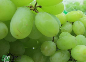 青提上有黑点能吃吗,红提上面有黑点可以吃吗