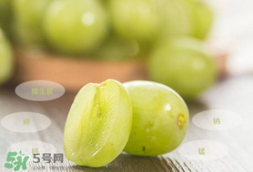 青提可以放冰箱吗,青提能不能放冰箱