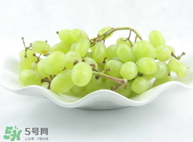 吃青提会胖吗,吃青提会不会长胖