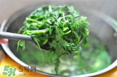 荠荠菜怎么吃好吃,荠荠菜是什么样子的