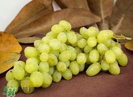 提子清洗的正确方法,提子怎样清洗干净 提子清洗的正确方法,提子怎样清洗干净