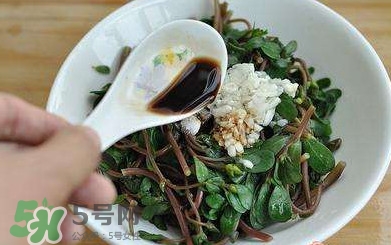 干蚂蚱菜的做法,蚂蚱菜怎么做好吃