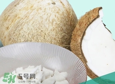 椰皇的功效和作用及禁忌,椰子营养粉的功效和作用