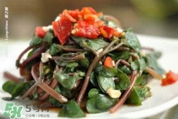 蚂蚱菜的功效和作用禁忌,蚂蚱菜的功效和作用 蚂蚱菜的功效和作用禁忌,蚂蚱菜的功效和作用