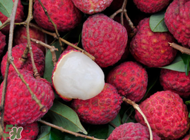 空腹吃荔枝为什么会低血糖,吃荔枝为什么会低血糖?