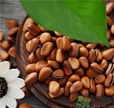 孕妇吃松子有什么好处和坏处,孕妇吃松子有什么好处?