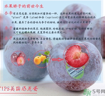 孕妇可以吃恐龙蛋吗,孕妇能吃恐龙蛋吗 孕妇可以吃恐龙蛋吗,孕妇能吃恐龙蛋吗