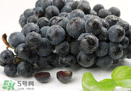 无籽水果怎么来的,有籽水果和无籽水果