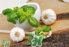 罗勒营养价值,罗勒营养价值表