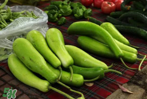 瓠子的做法怎么吃,瓠子的做法大全