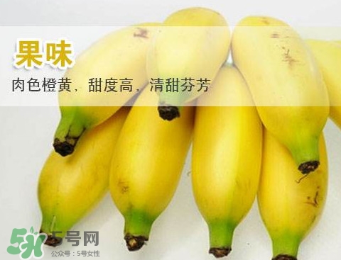 皇帝蕉是芭蕉吗,皇帝蕉好吃吗