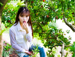 仙居杨梅哪里最好,仙居杨梅哪里最好吃