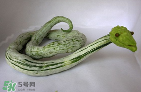 清炒蛇瓜的做法步骤图,清炒蛇瓜的做法步骤图窍门