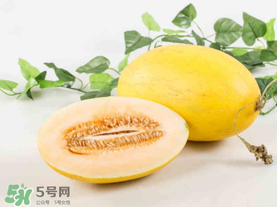 苦瓜是热性还是凉性的,苦瓜功效和作用