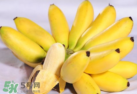 芭蕉什么人不能吃,芭蕉可以吃不 芭蕉什么人不能吃,芭蕉可以吃不