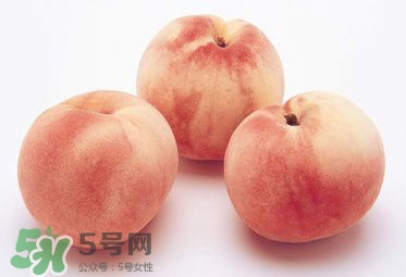 桃子不能和什么一起吃会中毒,桃子不能和什么一起吃/同吃