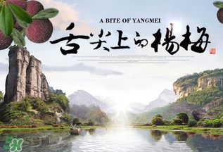 吃了发霉的话梅会怎样,杨梅吃多了会怎样