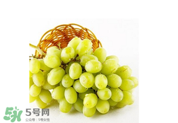 马奶葡萄皮可以吃吗,马奶提葡萄好吃吗