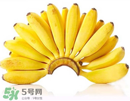 芭蕉和香蕉的区别是什么?,芭蕉和香蕉的区别图片