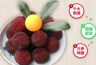 杨梅泡酒时间长了还能喝吗,杨梅泡酒多长时间就不能喝了