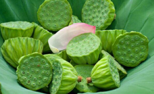 新鲜莲子营养价值,新鲜莲子营养价值高吗