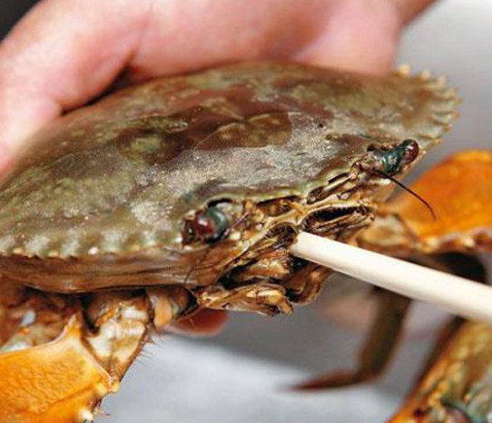 活面包蟹怎么处理,杀面包蟹的方法步骤图解