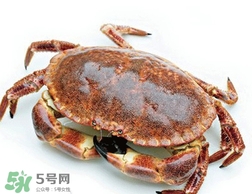 面包蟹和梭子蟹的区别,面包蟹和梭子蟹哪个好吃