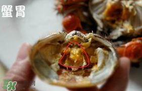 面包蟹什么不能吃图解,面包蟹怎么吃图解