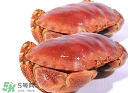 面包蟹为什么那么多黄,面包蟹都有黄吗