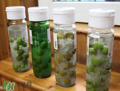 青梅酒的泡法,青梅酒的泡法窍门