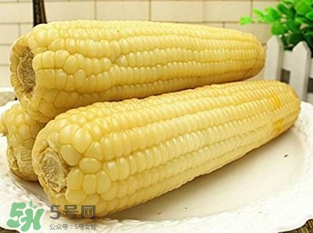 新鲜糯玉米怎么保存,大量糯玉米的保鲜方法