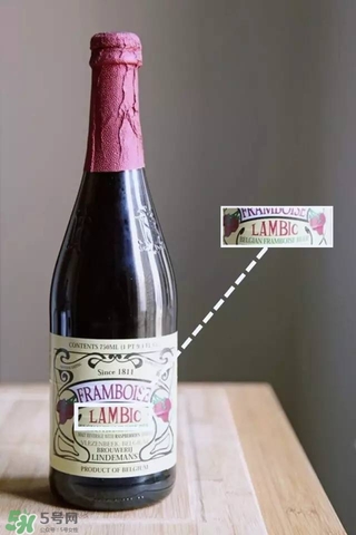 果味啤酒有哪些,啤酒水果味