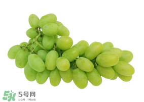 提子皮的好处,提子皮的功效和作用