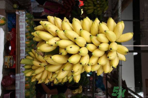 孕妇喝香蕉牛奶的好处,孕妇能吃香蕉牛奶吗