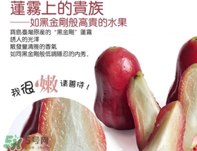 黑金刚莲雾价格,红莲雾多少钱一斤