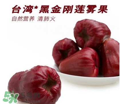 黑珍珠莲雾图片,黑珍珠雾莲的功效