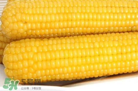 糯玉米是不是转基因玉米,什么样的玉米是转基因玉米