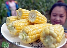 云南水果玉米产地是哪里,水果玉米产地是哪里 云南水果玉米产地是哪里,水果玉米产地是哪里