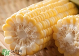 水果玉米介绍,水果玉米介绍词