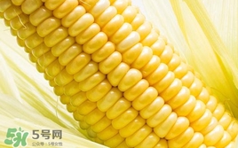 水果玉米可以生吃吗?,生的水果玉米可以生吃吗