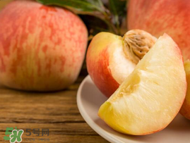 牛奶的营养价值及功效和作用,牛奶的营养价值表 牛奶的营养价值及功效和作用,牛奶的营养价值表