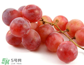 提子上的白霜能吃吗,提子表面的白霜可以吃吗