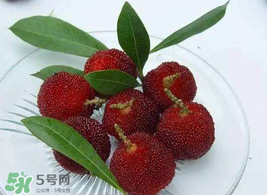 杨梅怎么洗才干净,杨梅怎么洗虫子能出来