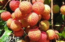 鸡嘴荔枝口感,鸡嘴荔枝口感描述